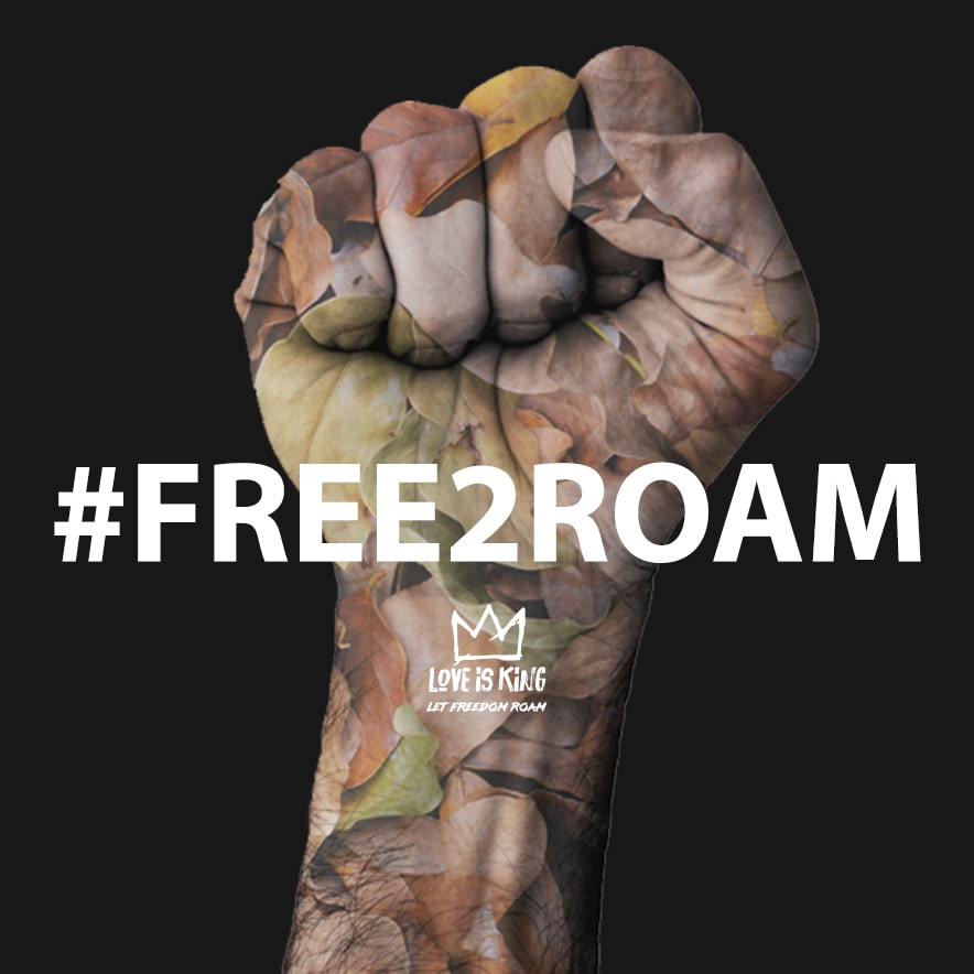 love-is-king-free2roam-6