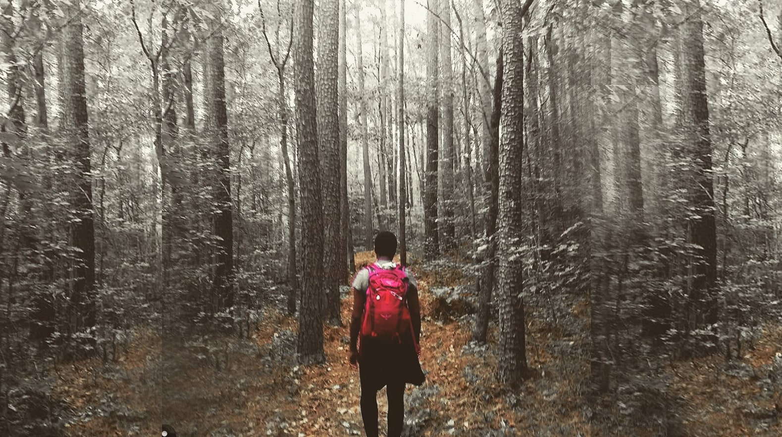 love-is-king-mlk-quote